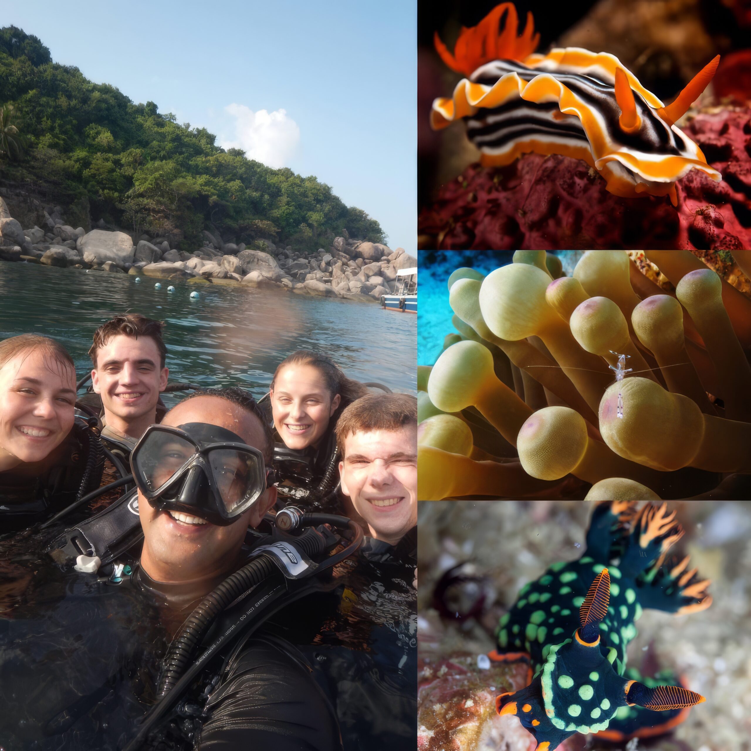 A series of underwater macro shots demonstrating the unique perspective and technical expertise gained in capturing marine life in intricate detail.