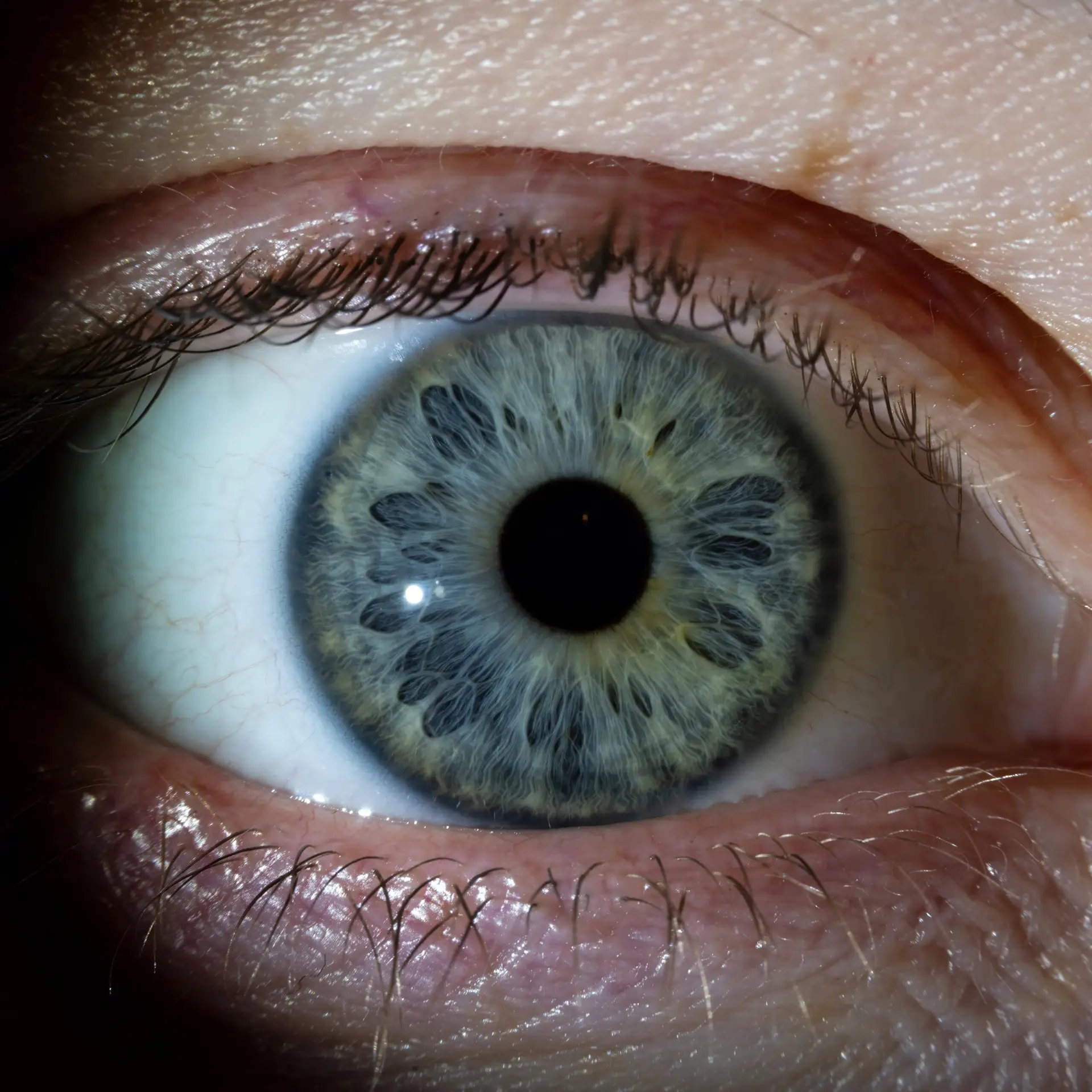 Raw, unedited close-up of an iris showing true color and intricate details before editing