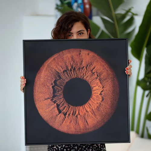 iris photography displayed in a classic wood frame, showcasing unique eye art