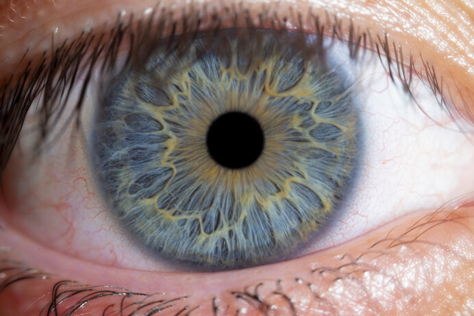 Raw, unedited close-up of a brown iris showing its true color and intricate details before editing.